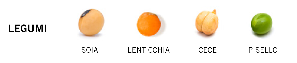 Miscelazione legumi